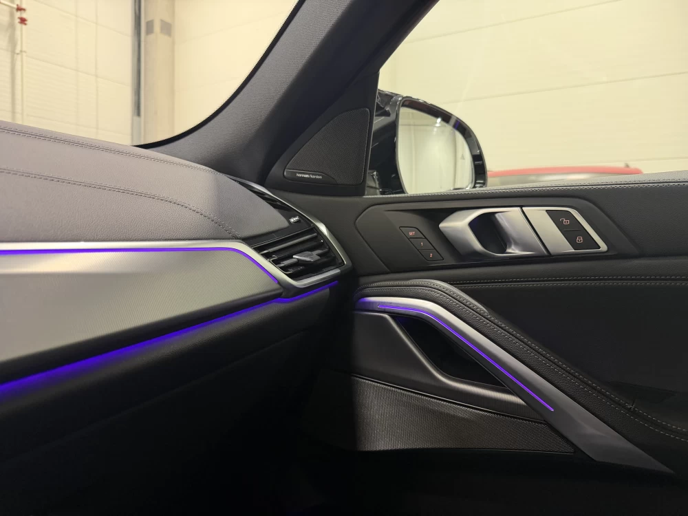 2020 BMW X6 – nuotrauka 14