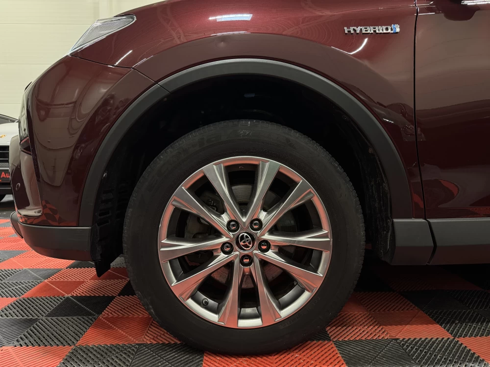 2017 Toyota RAV4 – nuotrauka 10