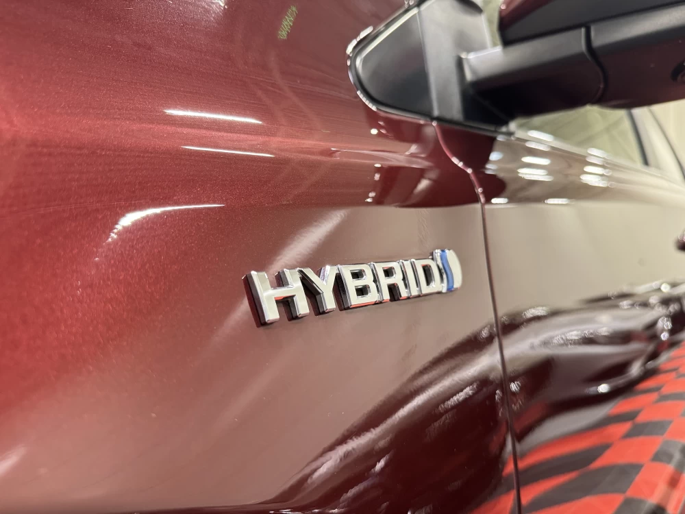 2017 Toyota RAV4 – nuotrauka 11