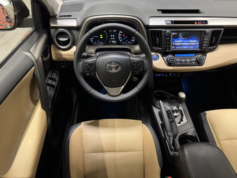 2017 Toyota RAV4 – nuotrauka 19