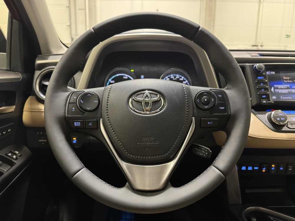 2017 Toyota RAV4 – nuotrauka 20