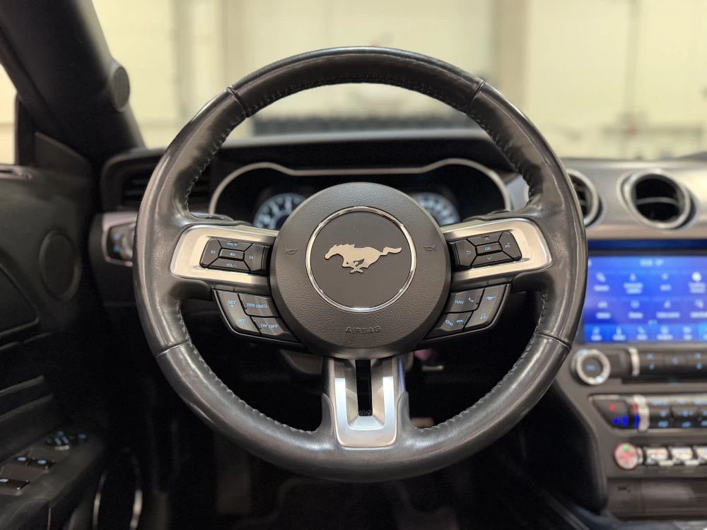 2018 Ford Mustang – nuotrauka 19