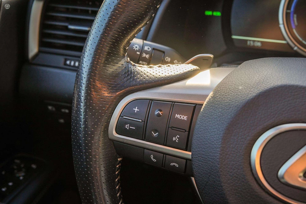 2016 Lexus RX 450h – nuotrauka 22