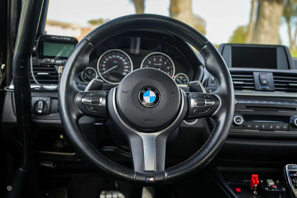 2015 BMW 335 – nuotrauka 18