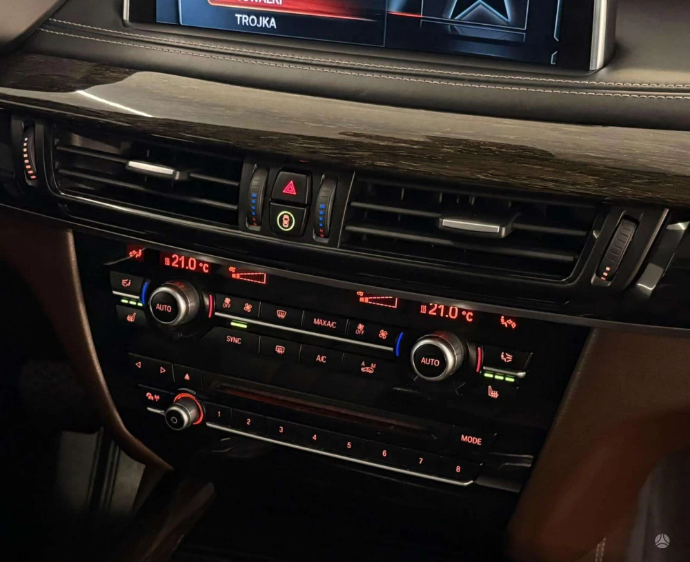 2017 BMW X5 – nuotrauka 11