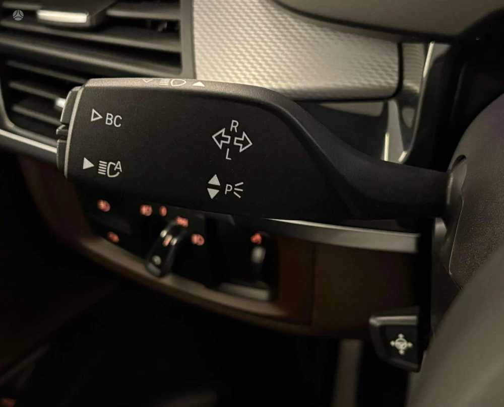 2016 BMW X5 – nuotrauka 14